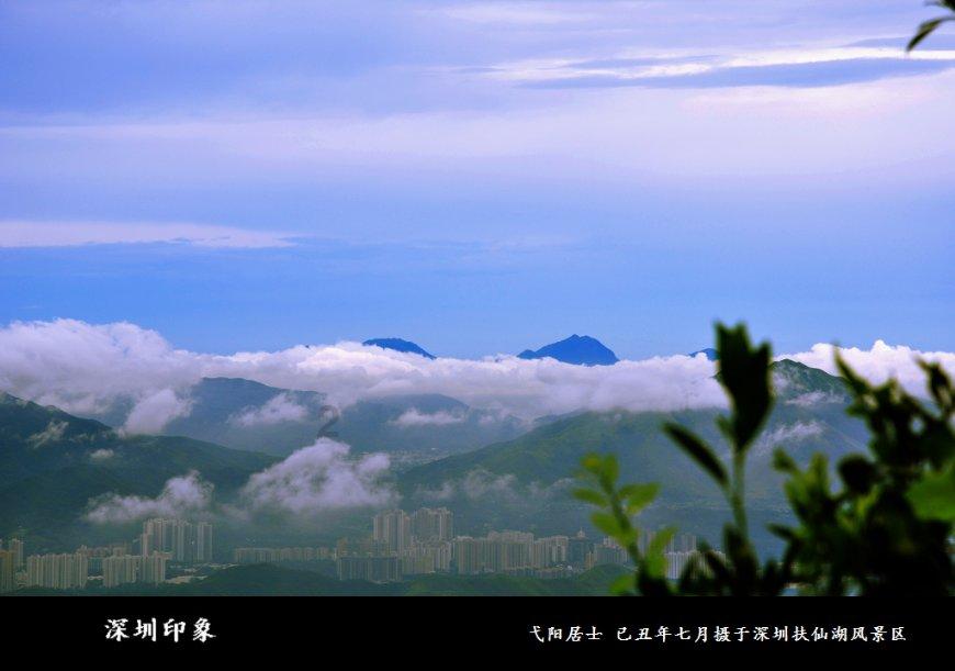 虫虫助手下载
