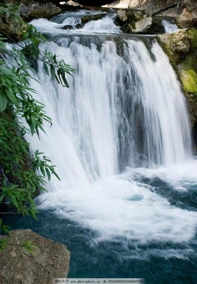 春雨直播app