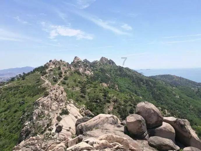 吃鸡模拟器
